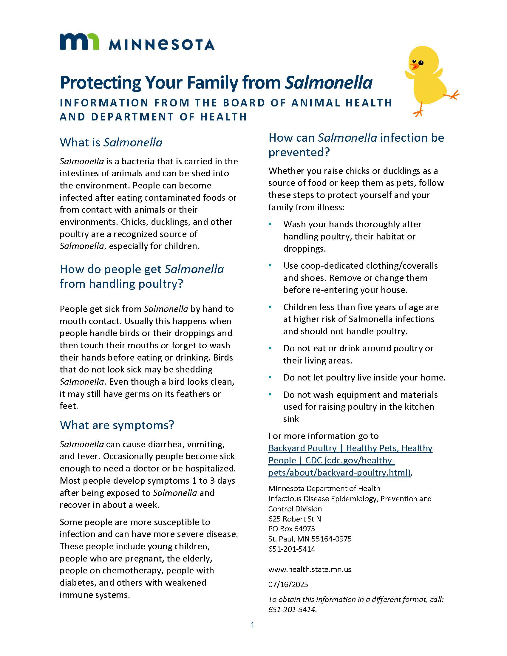 Protecting Your Family from Salmonella