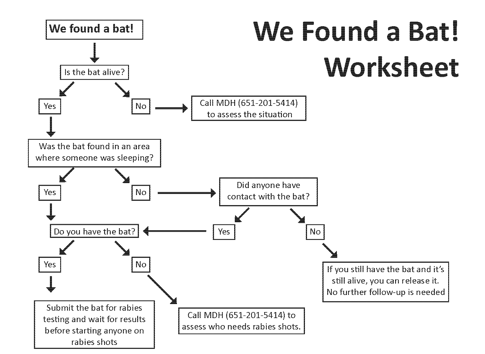 We Found a Bat! Flowchart (PDF)